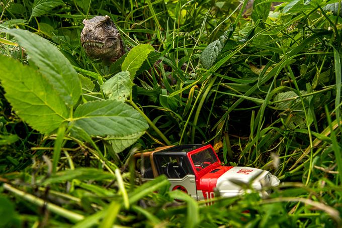 Open_Jurrassic Garden